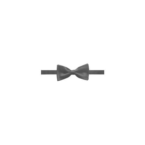 GUIDE WAITER